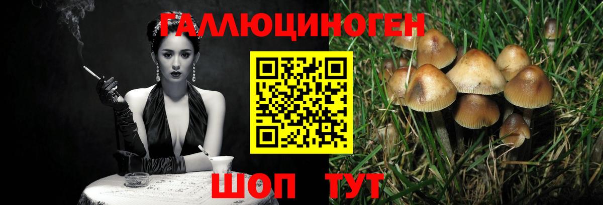 Псилоцибиновые грибы мухоморы  Псилоцибиновые грибы MAGIC MUSHROOMS  Вход с VPN  Топки 